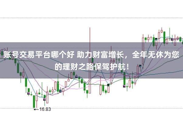 账号交易平台哪个好 助力财富增长，全年无休为您的理财之路保驾护航！