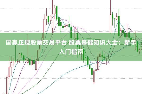 国家正规股票交易平台 股票基础知识大全：新手入门指南