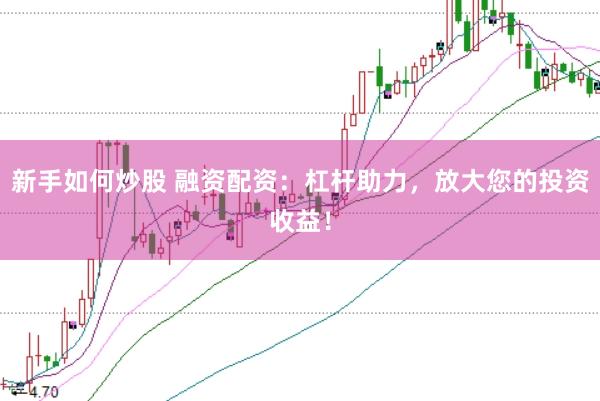 新手如何炒股 融资配资：杠杆助力，放大您的投资收益！