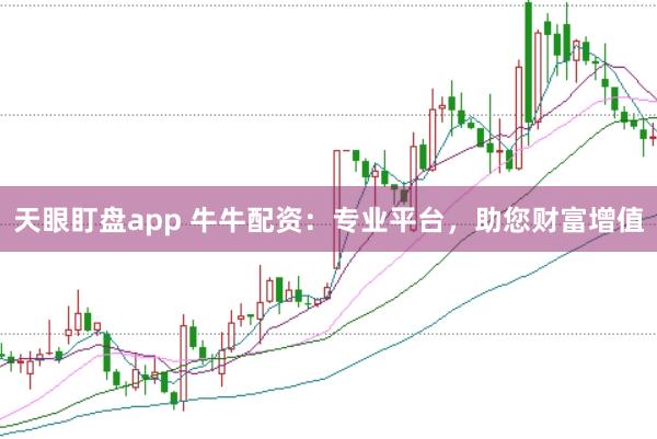 天眼盯盘app 牛牛配资：专业平台，助您财富增值
