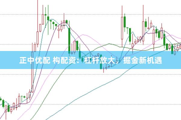正中优配 构配资：杠杆放大，掘金新机遇