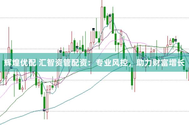辉煌优配 汇智资管配资：专业风控，助力财富增长