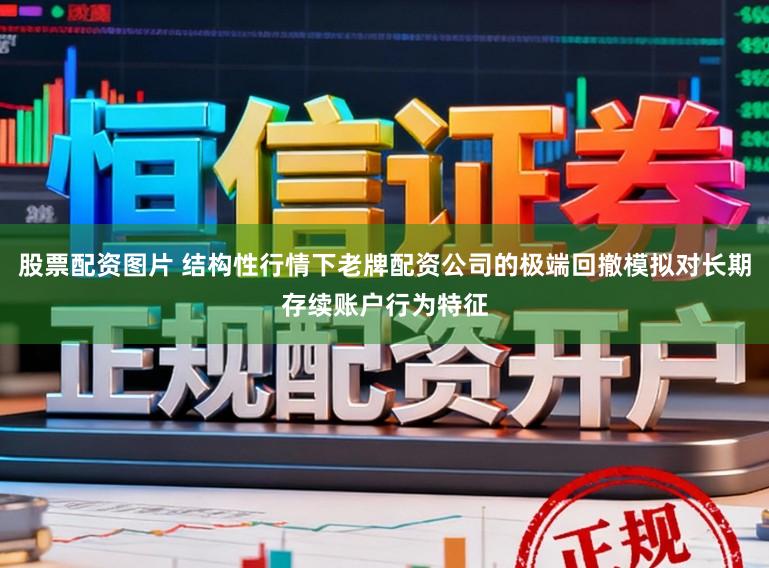 股票配资图片 结构性行情下老牌配资公司的极端回撤模拟对长期存续账户行为特征