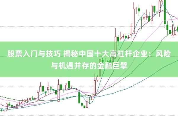 股票入门与技巧 揭秘中国十大高杠杆企业：风险与机遇并存的金融巨擘